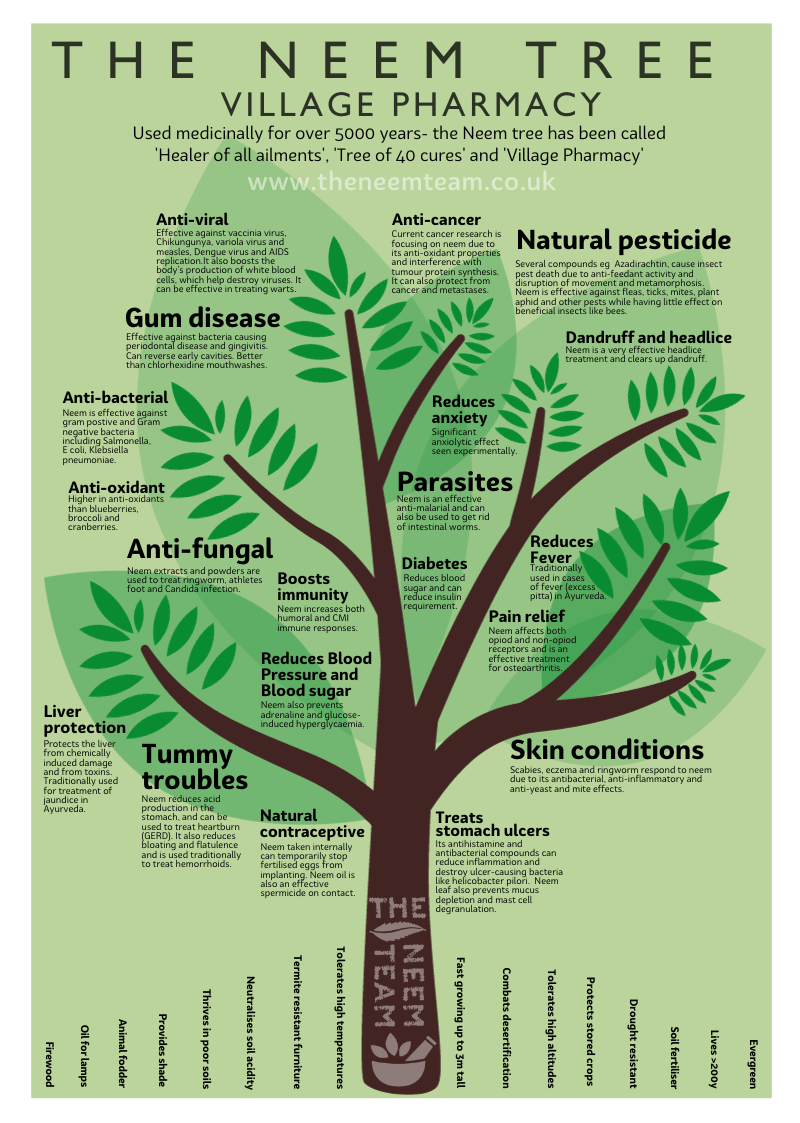 infographic showing uses of the neem tree