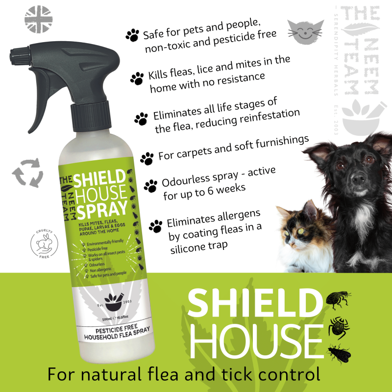 Chemical free flea treatment for dogs hotsell