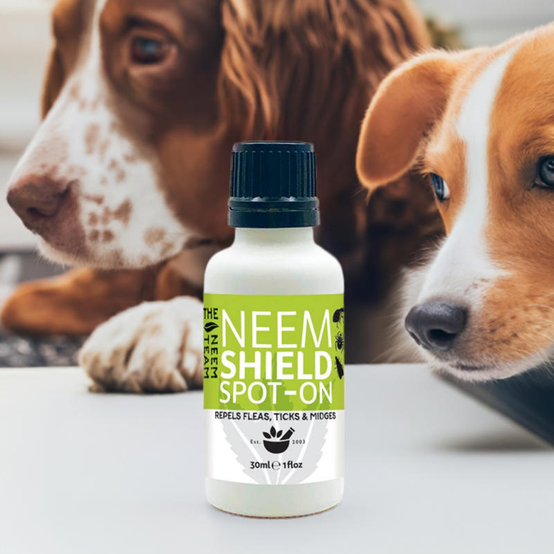 Neem Team - Neem Shield Pet Spot-On for flea control