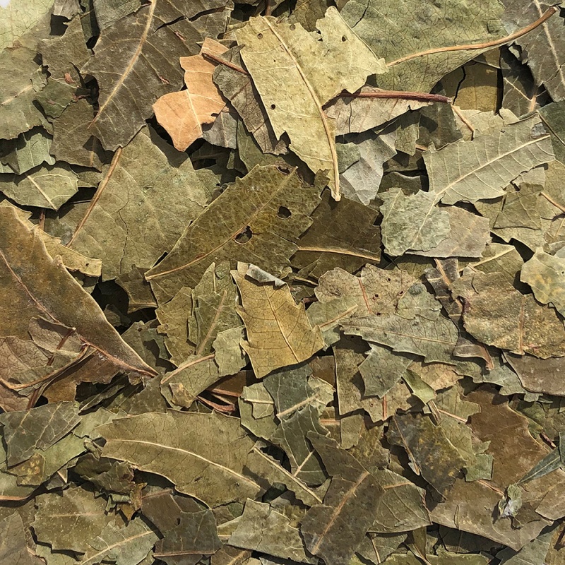 Neem Leaf - Rough Cut 200g